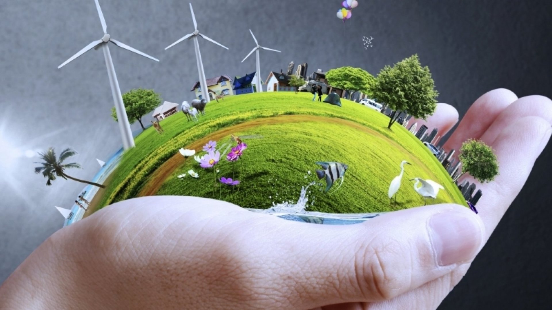 Read more about the article Green Business Ventures: Eco-Friendly Ideas for a Sustainable Future
